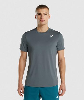 Gymshark Arrival Regular Fit T Shirts Herr Grå | SE 3868ILH